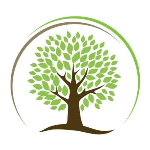 Village B Consulting